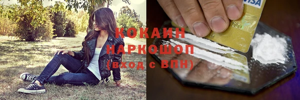 спиды Покачи